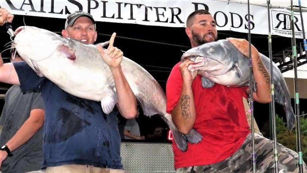 catfish tournament