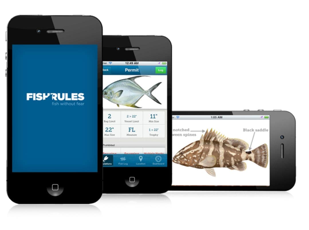 fish rule app