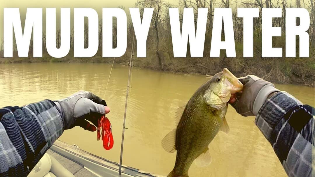muddy water