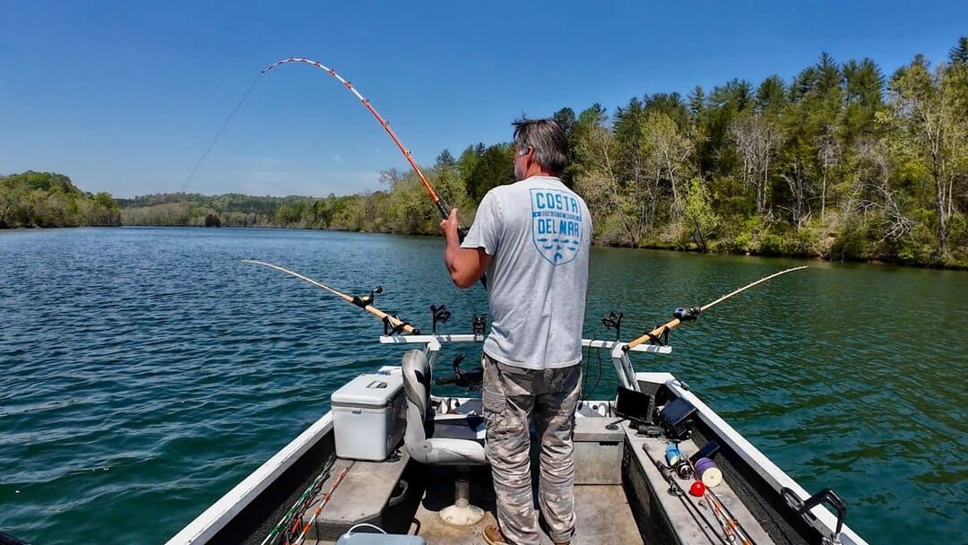 a good weather for catfish