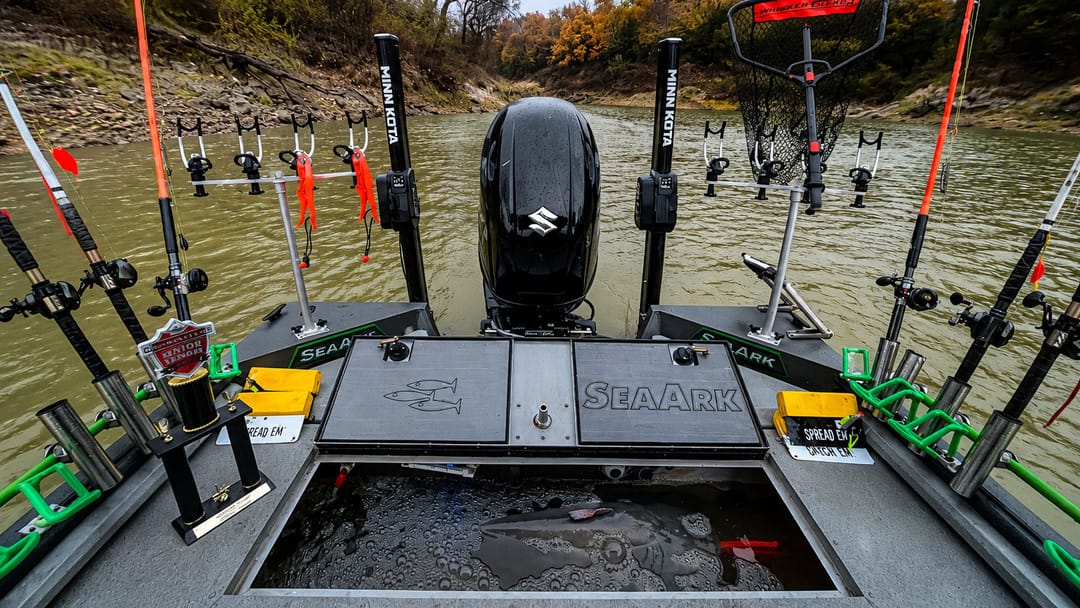 tournament catfish baits
