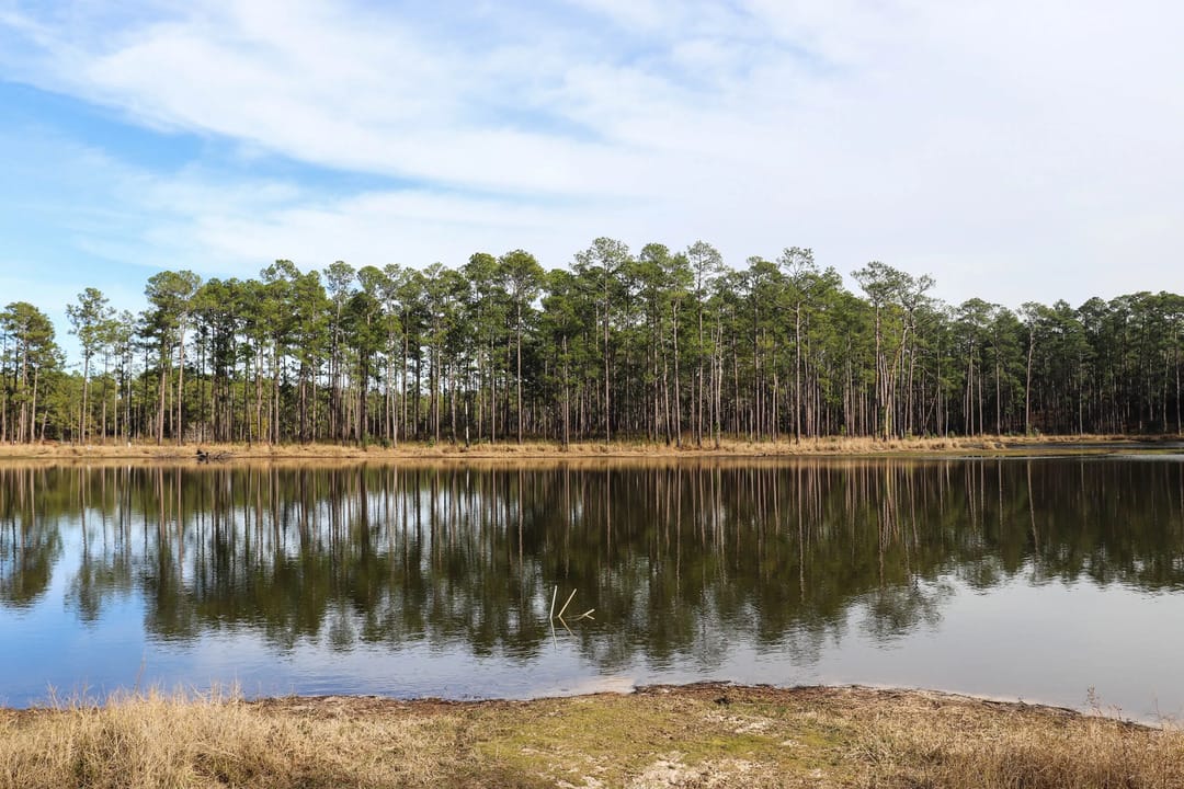 escambia