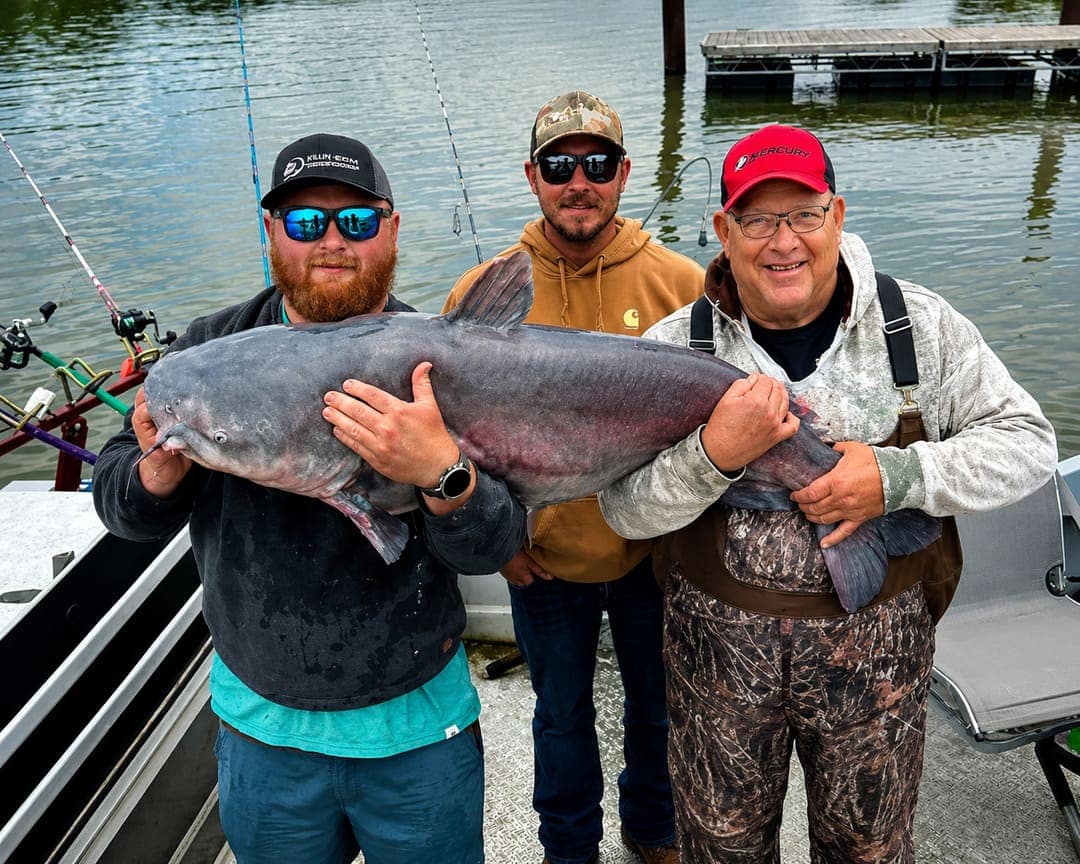 the ohio catfish caught