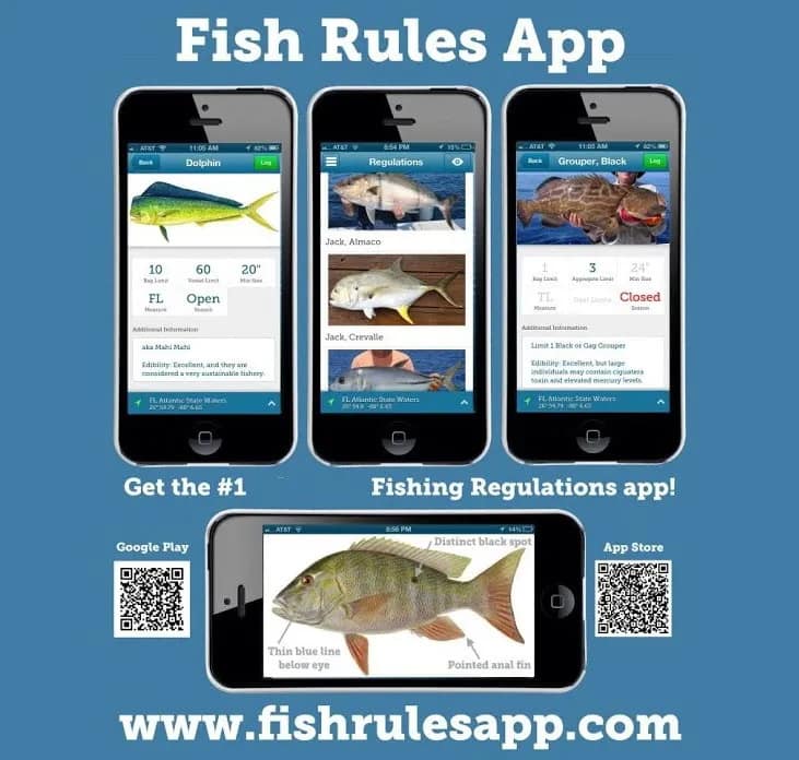 fish app